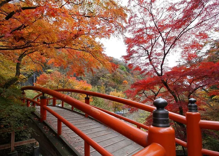 Hotel Ikaho Ginsui
