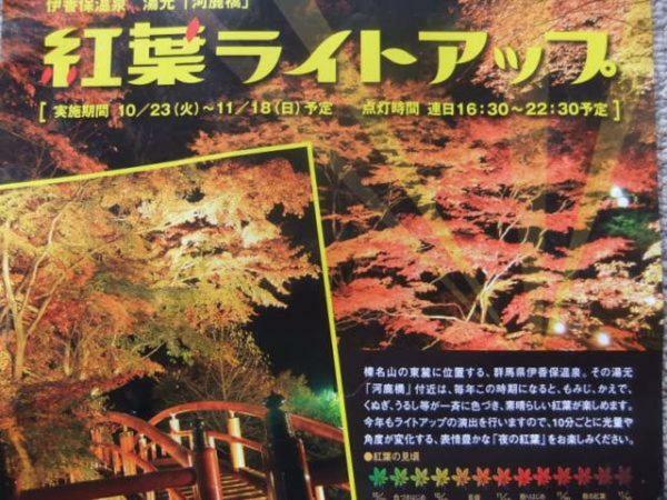 Ryokan Ikaho Ginsui 3*